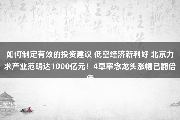 如何制定有效的投资建议 低空经济新利好 北京力求产业范畴达1000亿元！4草率念龙头涨幅已翻倍