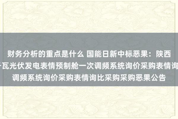 财务分析的重点是什么 国能日新中标恶果：陕西公司大唐陇县10万千瓦光伏发电表情预制舱一次调频系统询价采购表情询比采购采购恶果公告