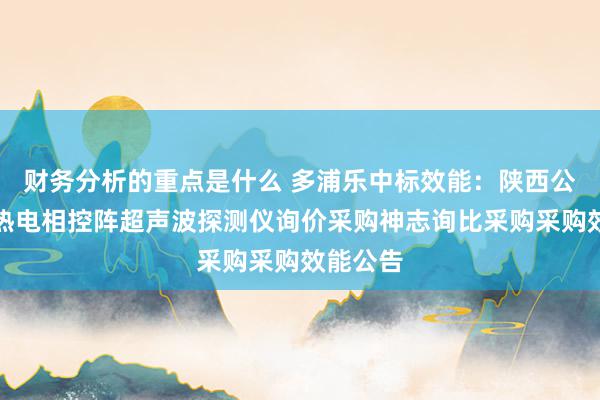 财务分析的重点是什么 多浦乐中标效能：陕西公司西安热电相控阵超声波探测仪询价采购神志询比采购采购效能公告