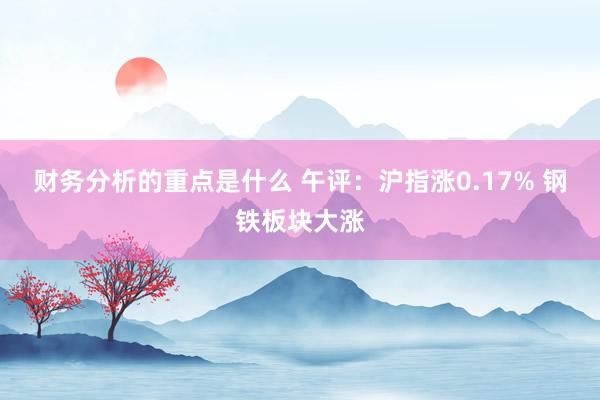 财务分析的重点是什么 午评：沪指涨0.17% 钢铁板块大涨