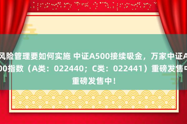 风险管理要如何实施 中证A500接续吸金，万家中证A500指数（A类：022440；C类：022441）重磅发售中！