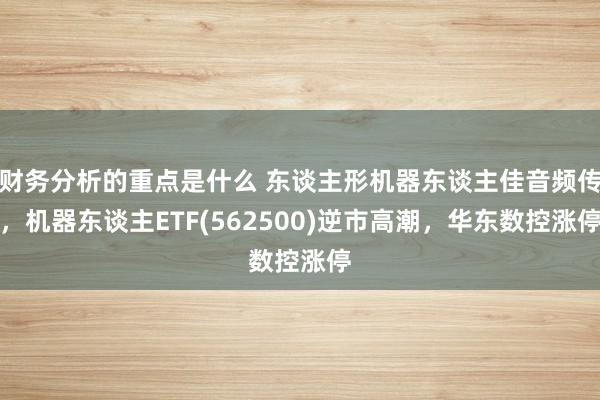 财务分析的重点是什么 东谈主形机器东谈主佳音频传，机器东谈主ETF(562500)逆市高潮，华东数控涨停