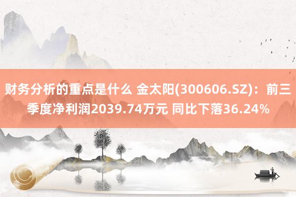 财务分析的重点是什么 金太阳(300606.SZ)：前三季度净利润2039.74万元 同比下落36.24%