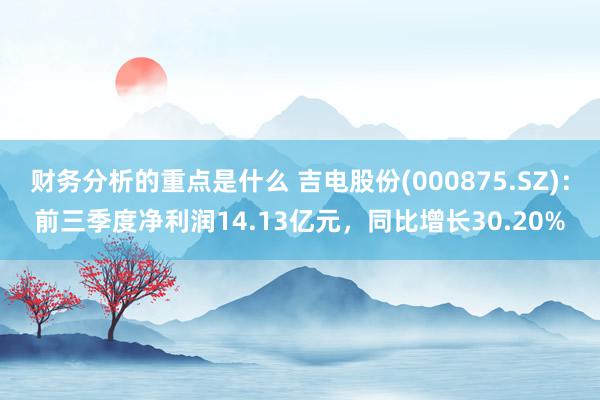 财务分析的重点是什么 吉电股份(000875.SZ)：前三季度净利润14.13亿元，同比增长30.20%