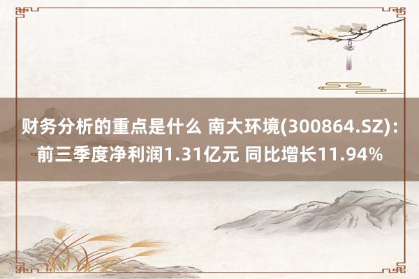 财务分析的重点是什么 南大环境(300864.SZ)：前三季度净利润1.31亿元 同比增长11.94%