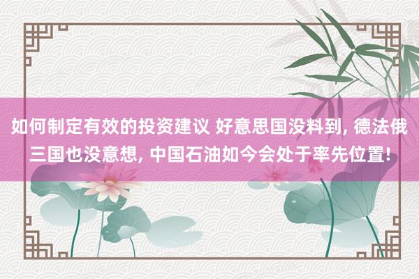 如何制定有效的投资建议 好意思国没料到, 德法俄三国也没意想, 中国石油如今会处于率先位置!