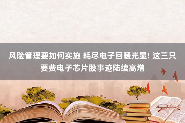 风险管理要如何实施 耗尽电子回暖光显! 这三只要费电子芯片股事迹陆续高增