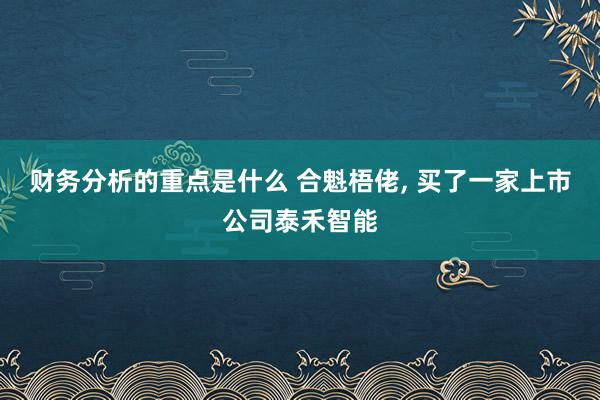 财务分析的重点是什么 合魁梧佬, 买了一家上市公司泰禾智能