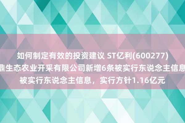 如何制定有效的投资建议 ST亿利(600277)控股的鄂尔多斯市亿鼎生态农业开采有限公司新增6条被实行东说念主信息，实行方针1.16亿元