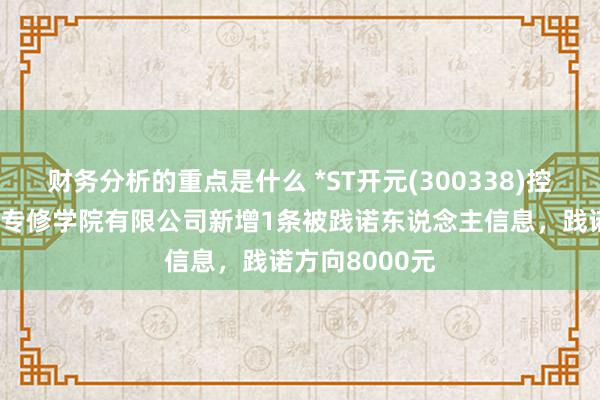 财务分析的重点是什么 *ST开元(300338)控股的上海恒企专修学院有限公司新增1条被践诺东说念主信息，践诺方向8000元