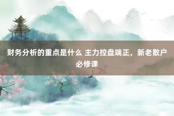 财务分析的重点是什么 主力控盘端正，新老散户必修课