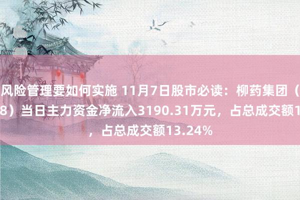 风险管理要如何实施 11月7日股市必读：柳药集团（603368）当日主力资金净流入3190.31万元，占总成交额13.24%