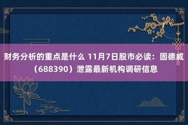 财务分析的重点是什么 11月7日股市必读：固德威（688390）泄露最新机构调研信息