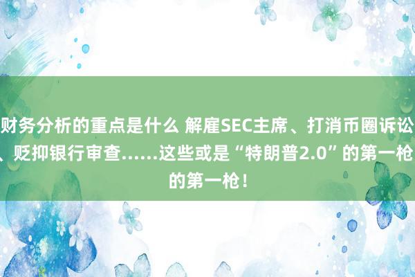 财务分析的重点是什么 解雇SEC主席、打消币圈诉讼、贬抑银行审查......这些或是“特朗普2.0”的第一枪！