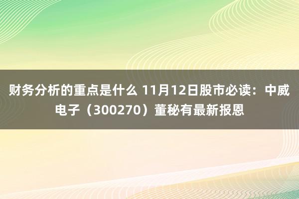 财务分析的重点是什么 11月12日股市必读：中威电子（300270）董秘有最新报恩