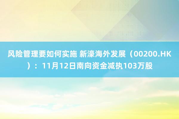 风险管理要如何实施 新濠海外发展（00200.HK）：11月12日南向资金减执103万股