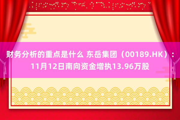 财务分析的重点是什么 东岳集团（00189.HK）：11月12日南向资金增执13.96万股