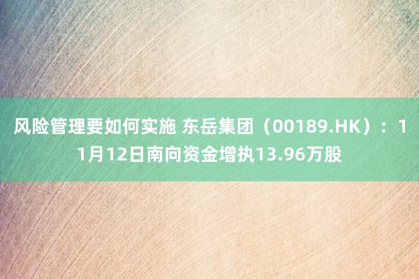 风险管理要如何实施 东岳集团（00189.HK）：11月12日南向资金增执13.96万股