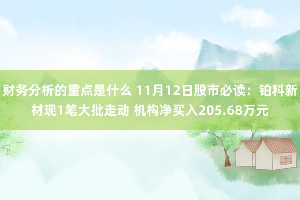 财务分析的重点是什么 11月12日股市必读：铂科新材现1笔大批走动 机构净买入205.68万元