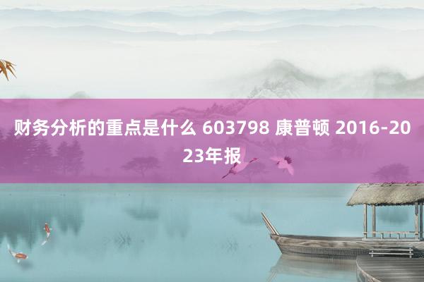 财务分析的重点是什么 603798 康普顿 2016-2023年报