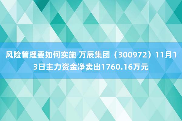 风险管理要如何实施 万辰集团（300972）11月13日主力资金净卖出1760.16万元