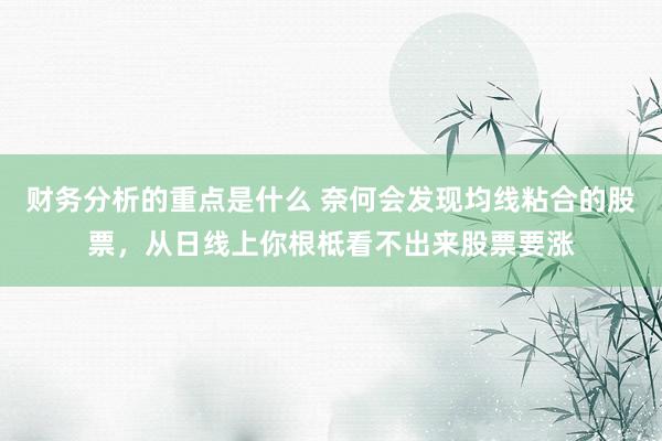 财务分析的重点是什么 奈何会发现均线粘合的股票，从日线上你根柢看不出来股票要涨