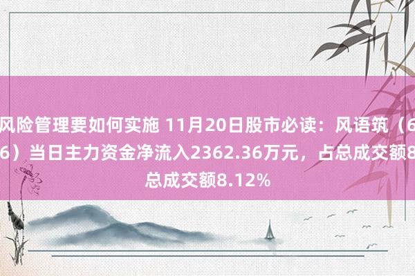 风险管理要如何实施 11月20日股市必读：风语筑（603466）当日主力资金净流入2362.36万元，占总成交额8.12%