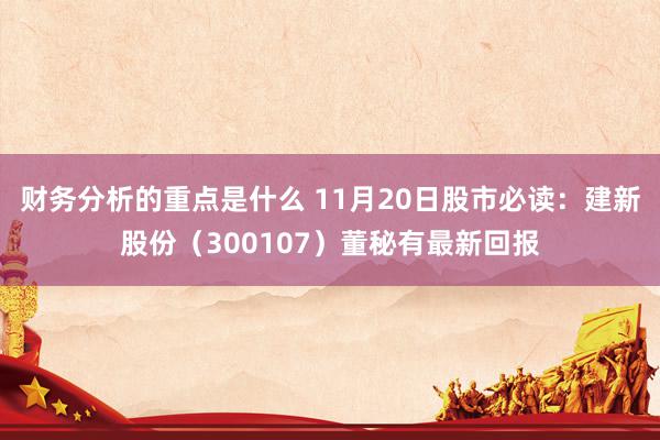 财务分析的重点是什么 11月20日股市必读：建新股份（300107）董秘有最新回报