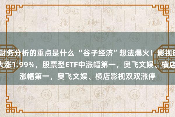 财务分析的重点是什么 “谷子经济”想法爆火！影视ETF(159855)大涨1.99%，股票型ETF中涨幅第一，奥飞文娱、横店影视双双涨停