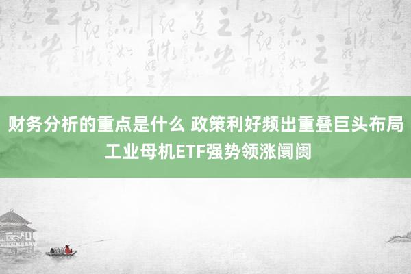 财务分析的重点是什么 政策利好频出重叠巨头布局 工业母机ETF强势领涨阛阓