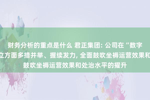 财务分析的重点是什么 君正集团: 公司在“数字化、智能化”竖立方面多措并举、握续发力, 全面鼓吹坐褥运营效果和处治水平的擢升