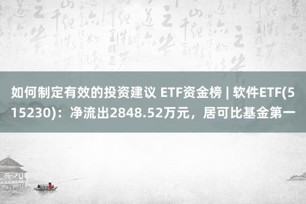 如何制定有效的投资建议 ETF资金榜 | 软件ETF(515230)：净流出2848.52万元，居可比基金第一