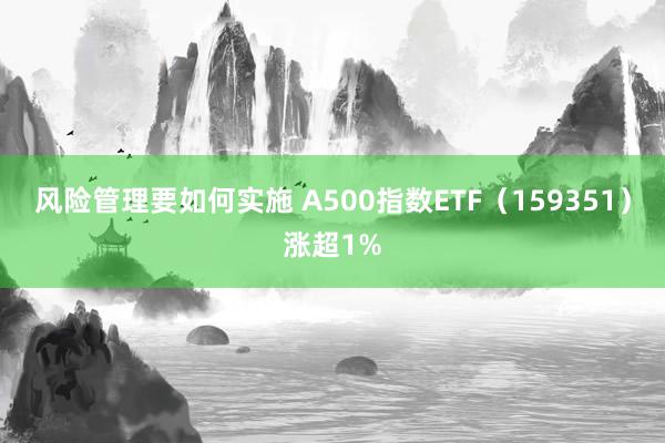 风险管理要如何实施 A500指数ETF（159351）涨超1%