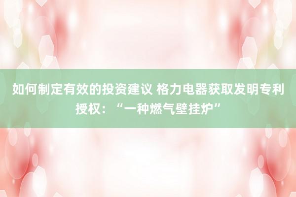 如何制定有效的投资建议 格力电器获取发明专利授权：“一种燃气壁挂炉”