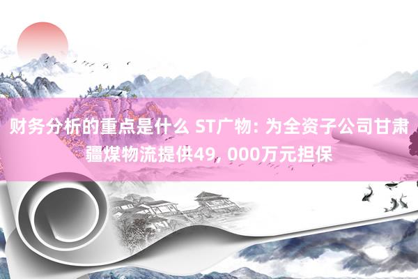 财务分析的重点是什么 ST广物: 为全资子公司甘肃疆煤物流提供49, 000万元担保