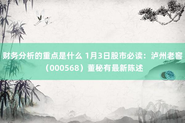 财务分析的重点是什么 1月3日股市必读：泸州老窖（000568）董秘有最新陈述