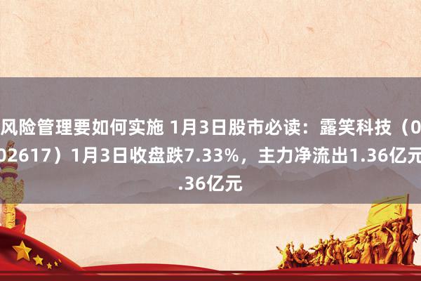 风险管理要如何实施 1月3日股市必读：露笑科技（002617）1月3日收盘跌7.33%，主力净流出1.36亿元