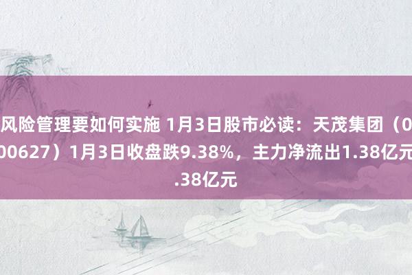 风险管理要如何实施 1月3日股市必读：天茂集团（000627）1月3日收盘跌9.38%，主力净流出1.38亿元