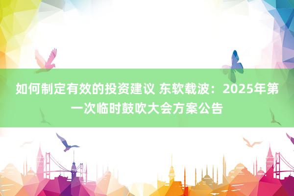 如何制定有效的投资建议 东软载波：2025年第一次临时鼓吹大会方案公告