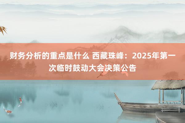 财务分析的重点是什么 西藏珠峰：2025年第一次临时鼓动大会决策公告