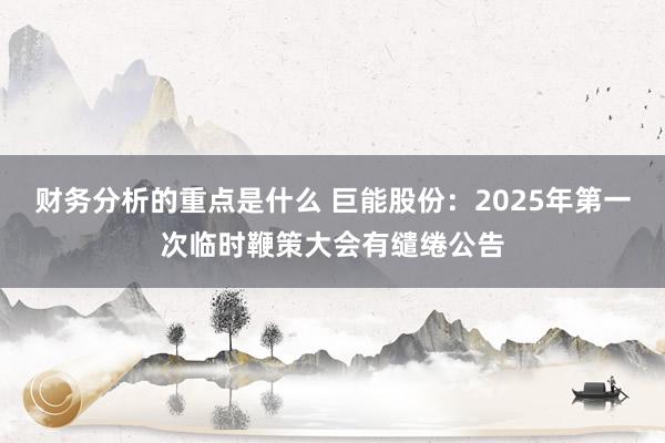 财务分析的重点是什么 巨能股份：2025年第一次临时鞭策大会有缱绻公告