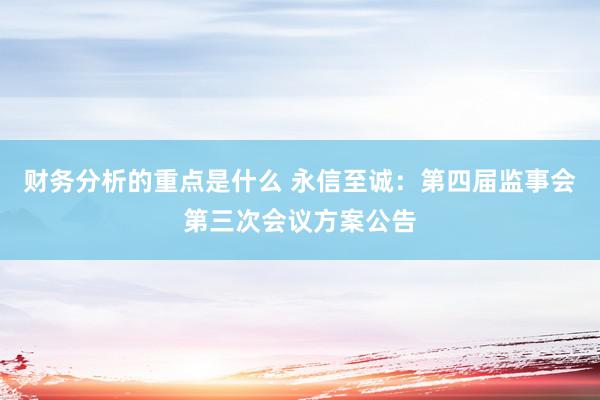 财务分析的重点是什么 永信至诚：第四届监事会第三次会议方案公告