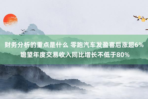 财务分析的重点是什么 零跑汽车发盈喜后涨超6% 瞻望年度交易收入同比增长不低于80%