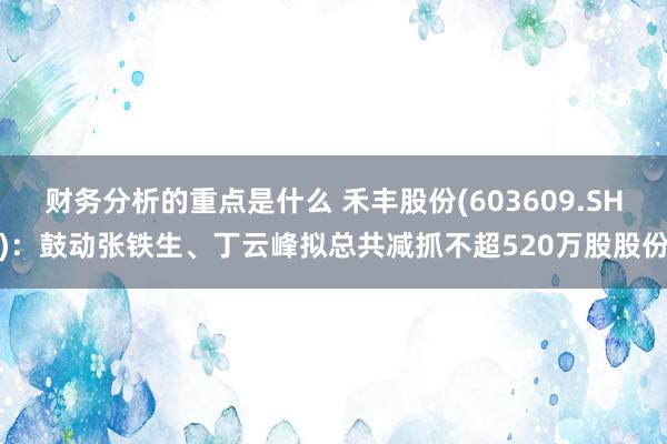 财务分析的重点是什么 禾丰股份(603609.SH)：鼓动张铁生、丁云峰拟总共减抓不超520万股股份