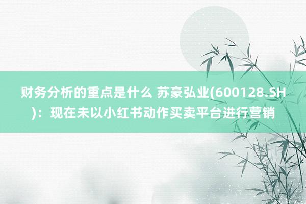 财务分析的重点是什么 苏豪弘业(600128.SH)：现在未以小红书动作买卖平台进行营销