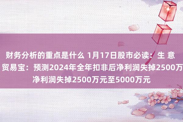 财务分析的重点是什么 1月17日股市必读：生 意 宝（002095）贸易宝：预测2024年全年扣非后净利润失掉2500万元至5000万元