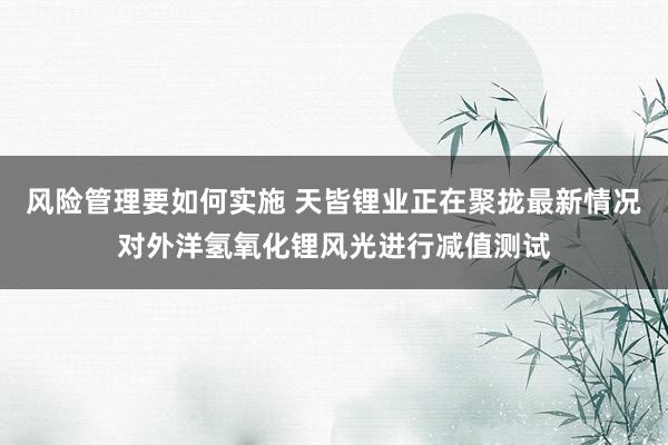 风险管理要如何实施 天皆锂业正在聚拢最新情况对外洋氢氧化锂风光进行减值测试