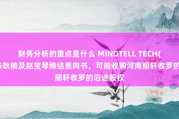 财务分析的重点是什么 MINDTELL TECH(08611)与耿楠及赵宝琴缔结意向书，可能收购河南丽轩收罗的沿途股权