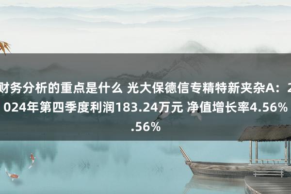 财务分析的重点是什么 光大保德信专精特新夹杂A：2024年第四季度利润183.24万元 净值增长率4.56%