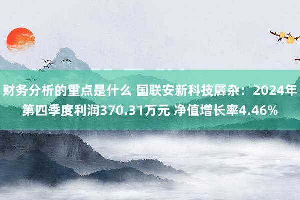 财务分析的重点是什么 国联安新科技羼杂：2024年第四季度利润370.31万元 净值增长率4.46%